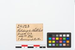 Etikett zu Bronzesitula (NHMW-PRAE-024522)